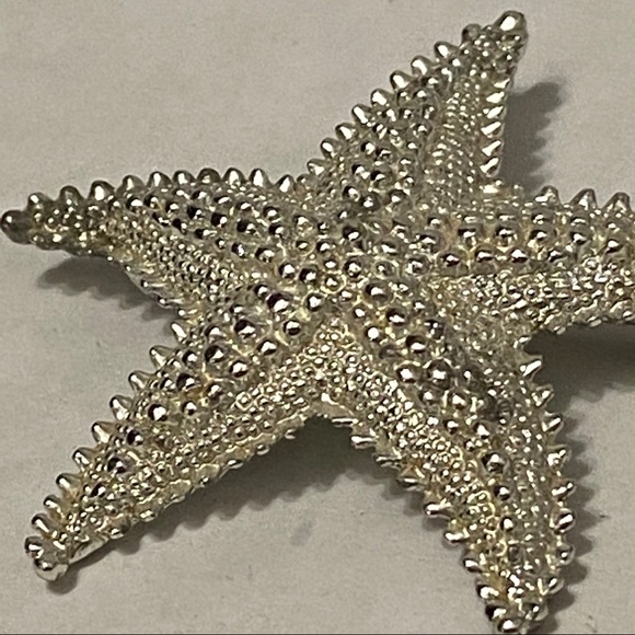 Vintage Star Fish Silver Tone Beach Brooch Pin 70’s MCM Mid Century Modern - Picture 2 of 8